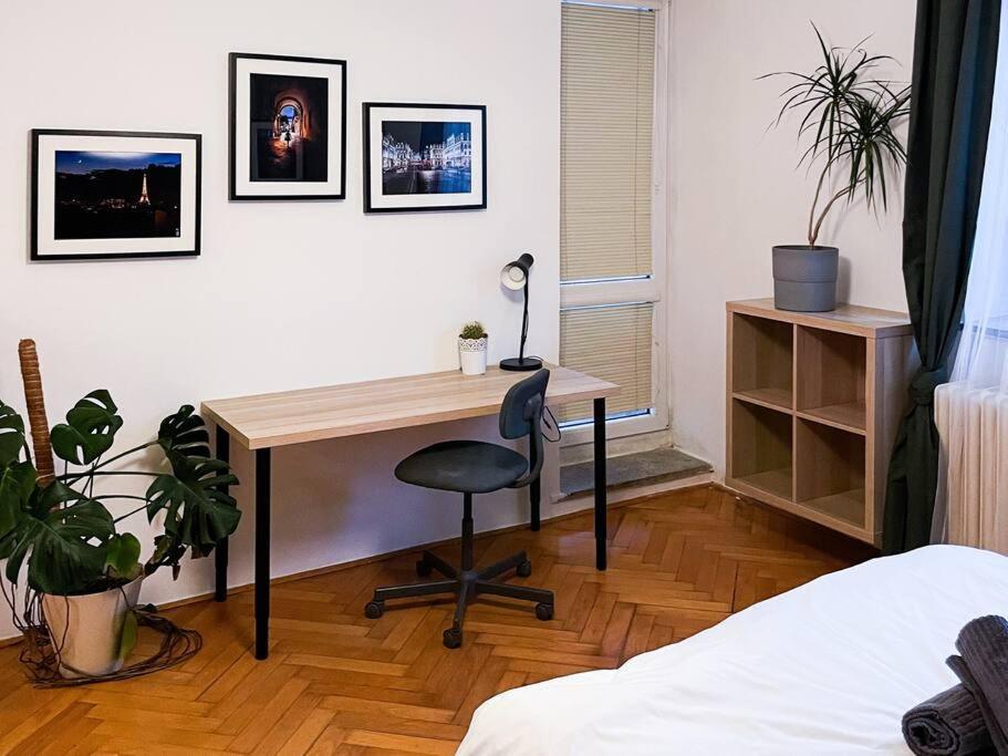 Rodinny Byt Pro 4 Na Brno-Stred ภายนอก รูปภาพ